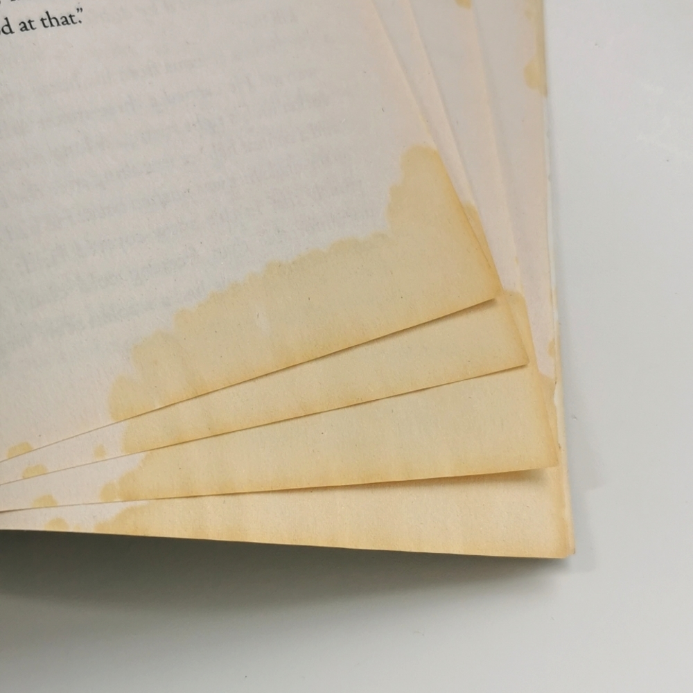 BOOKS | Ranger's Apprentice Books - Picture 8 of 10